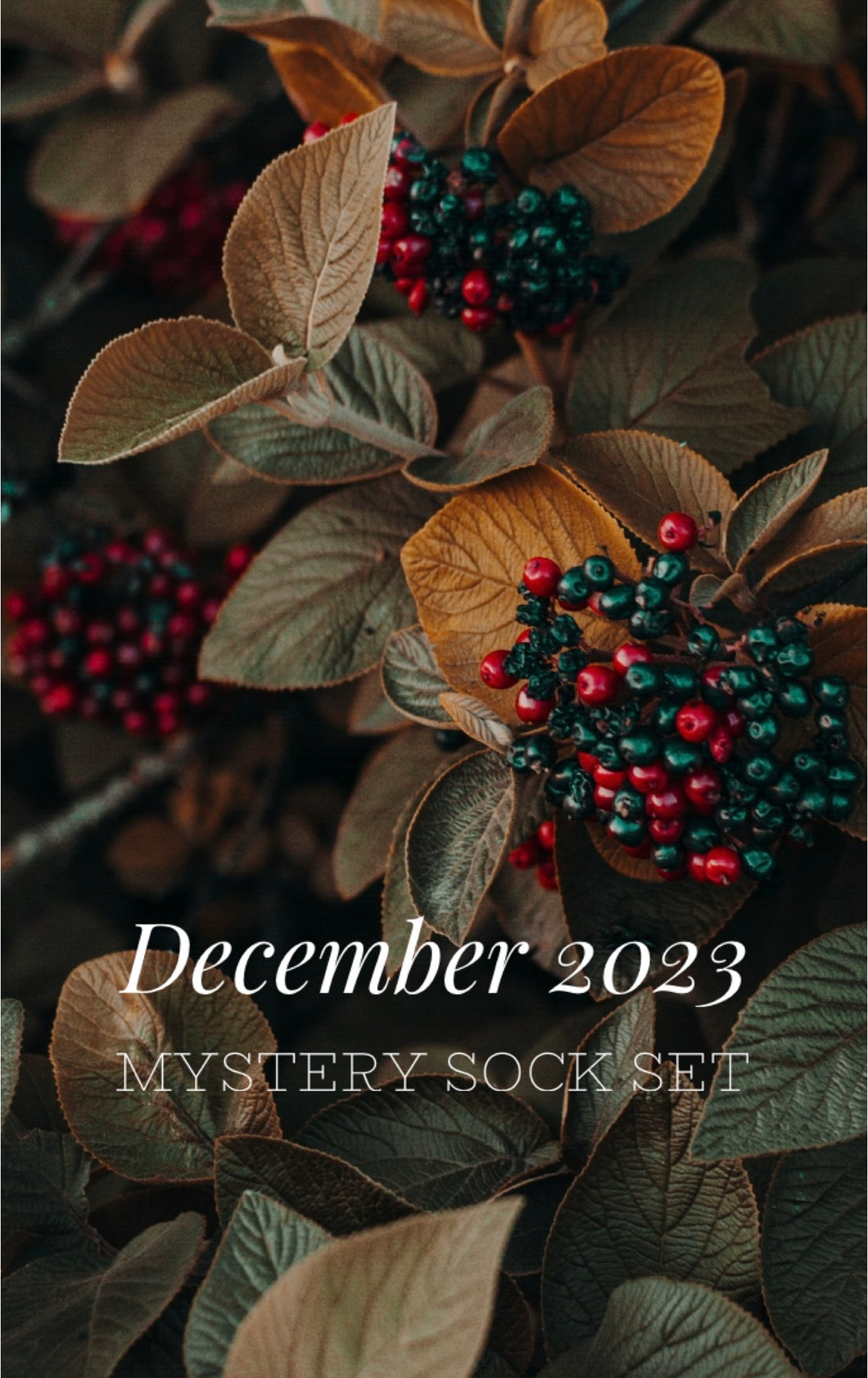 December ‘23 Mystery Sock Set PRE-ORDER