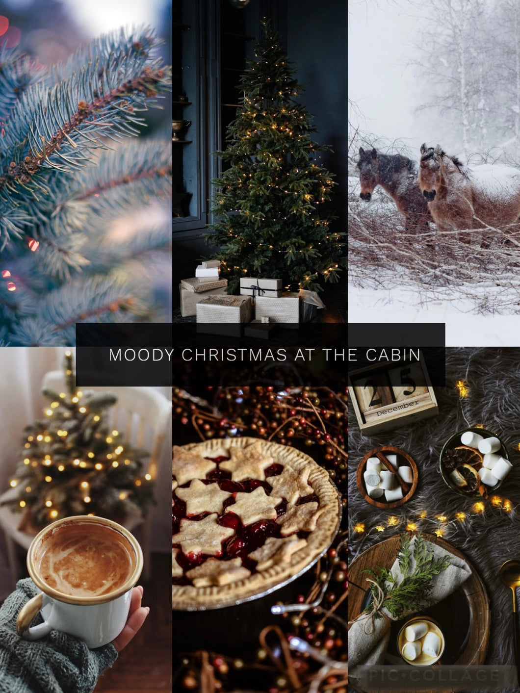 EXTRAS YAK SOCK Moody Christmas at the Cabin 2023 Advent Calendar